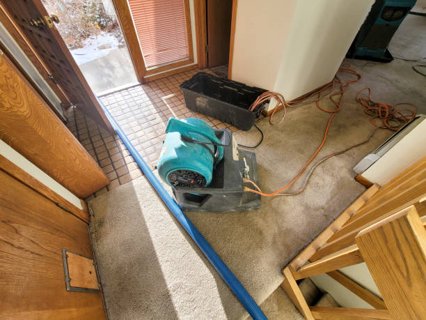 Best Flood damage cleanup  in Green Valley, AZ