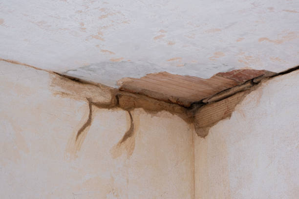 Best Water damage restoration near me  in Green Valley, AZ