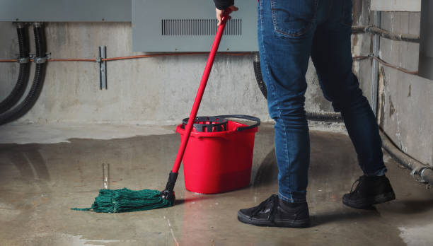 Best Sewage cleanup and water damage restoration  in Green Valley, AZ