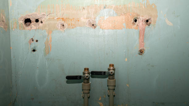 Best Professional water damage repair  in Green Valley, AZ